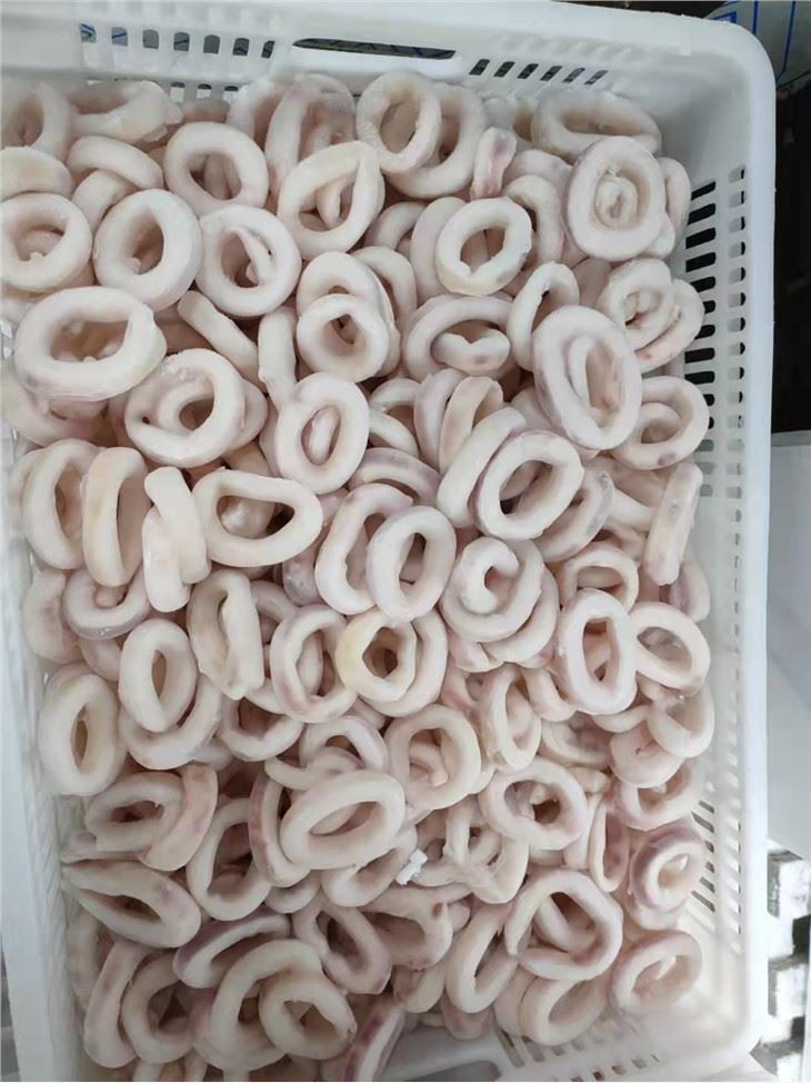 Squid Ring Sotong Squid