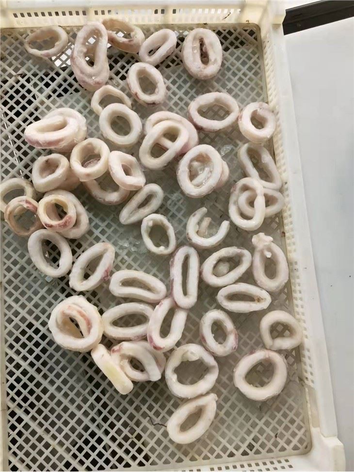 Squid Ring Sotong Squid