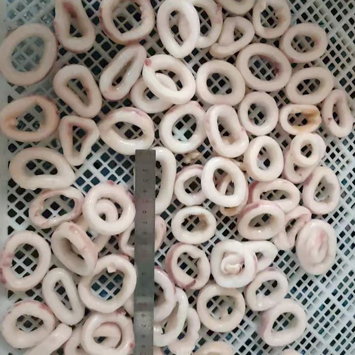 Squid Ring Sotong Squid