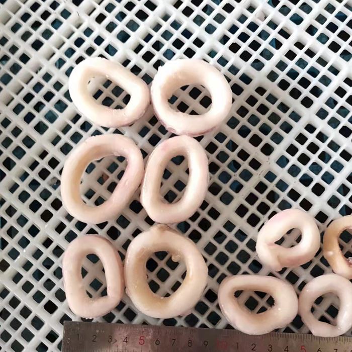 Squid Ring Sotong Squid