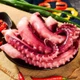 Blæksprutte