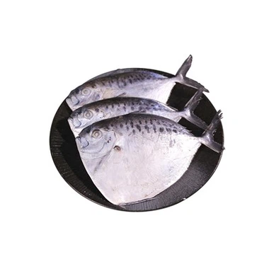 Frossen månefisk