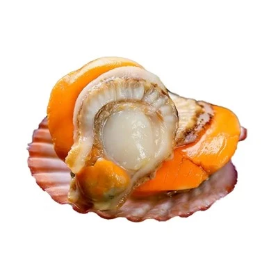 Frosne Pectinidae