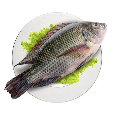 Nutritional Value and Benefits of Tilapia