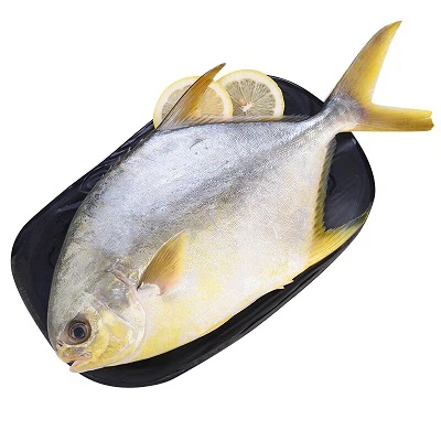 Golden pomfret: Vill eller oppdrettet?