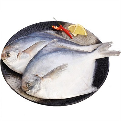 Hvilken variant av pomfret smaker best