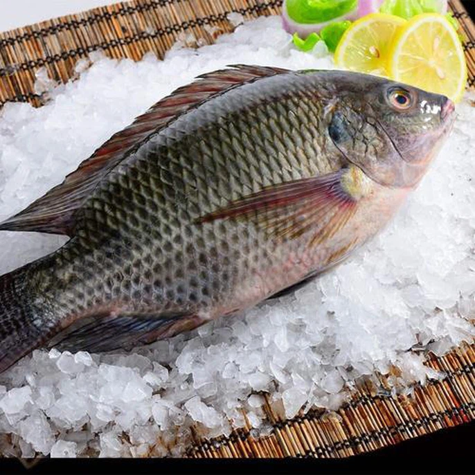 u1652723101500621838fm253fmtautoapp138fJPEG u1652723101500621838fm253fmtautoapp138fJPEG