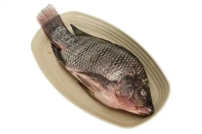 u8669430131898268766fm253fmtautoapp138fJPEGwebp u8669430131898268766fm253fmtautoapp138fJPEGwebp