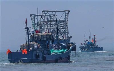 Peru's Squid Season Concludes