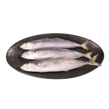 Frossen Makrell Scad Factory