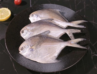 Frossen SLIVER Pompano